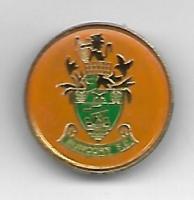 Runcorn FC Badge