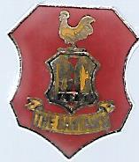Bradford City Badge