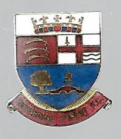 Redbridge Forest Badge