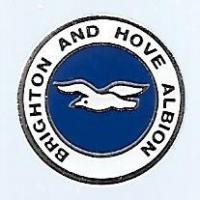 Brighton & Hove Albion Badge